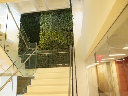 A staircase with glass railings and green walls.