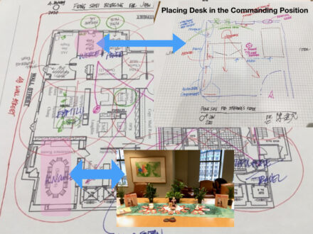 A table with plants and a drawing of the floor plan.